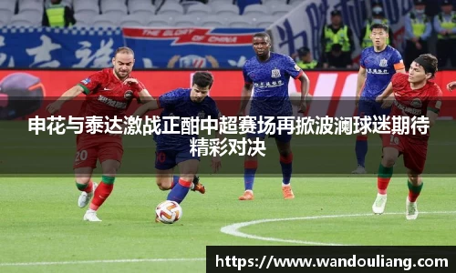 申花与泰达激战正酣中超赛场再掀波澜球迷期待精彩对决